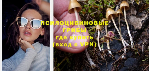 таблы Анива