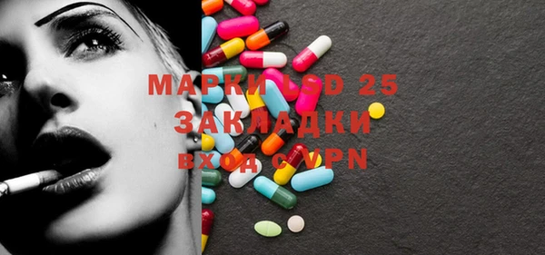 крисы Алагир