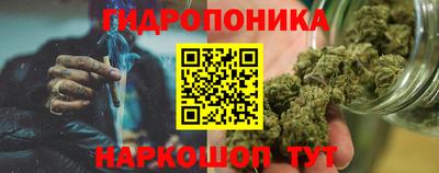 прущие грибы Азнакаево