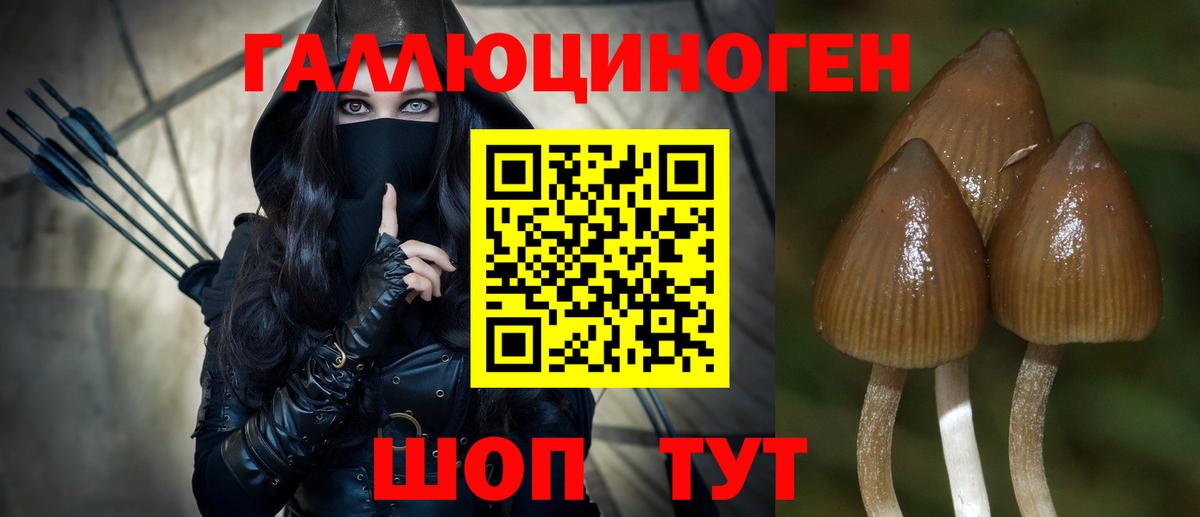 Псилоцибиновые грибы прущие грибы Александров