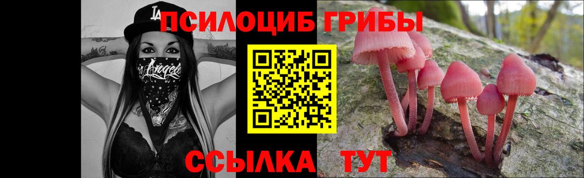 Галлюциногенные грибы Magic Shrooms  Псилоцибиновые грибы Psilocybine cubensis  Александров  Вход с VPN 