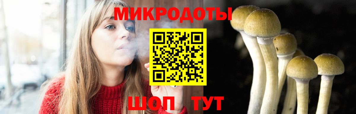Псилоцибиновые грибы мицелий  Галлюциногенные грибы мухоморы  Александров  магазин продажи наркотиков  Вход с VPN 